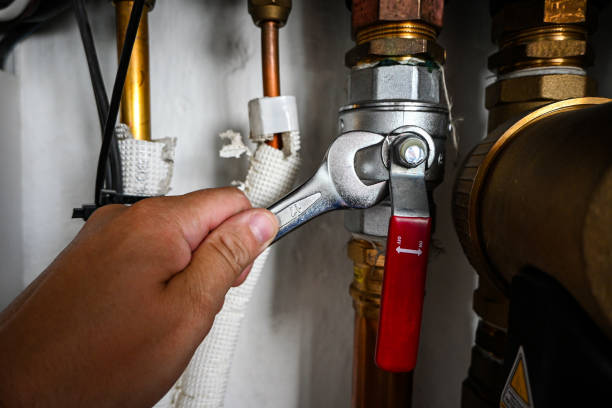Best Local Plumber Services  in Ayden, NC